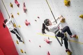 施洛特贝克：多特几乎不可能打进下赛季欧冠